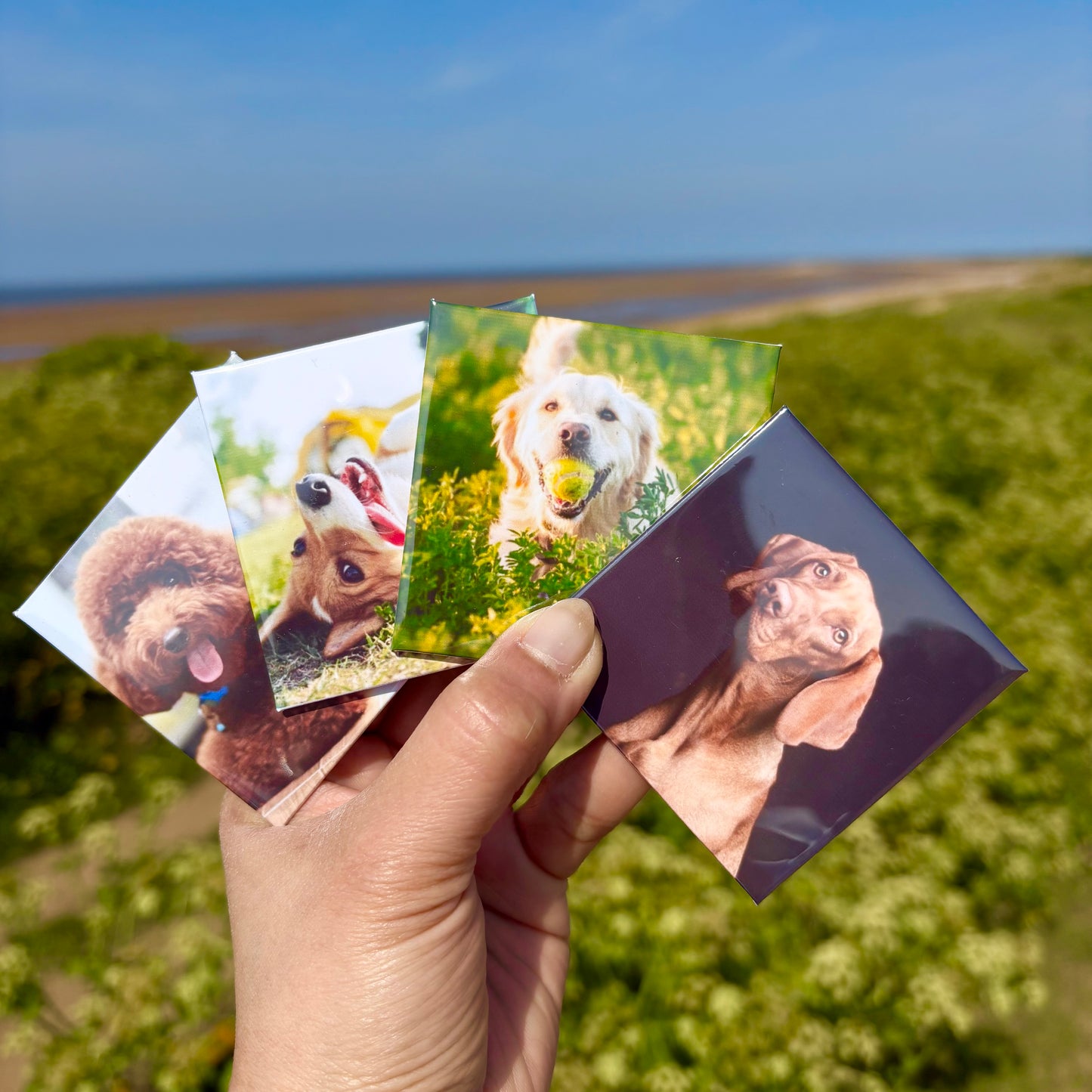 6 Custom Photo Magnets