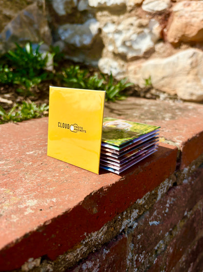 6 Custom Photo Magnets