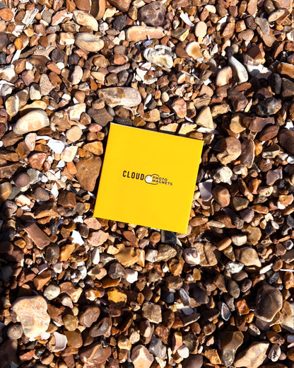 6 Custom Photo Magnets